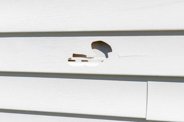 Shed Removal in Carefree, AZ